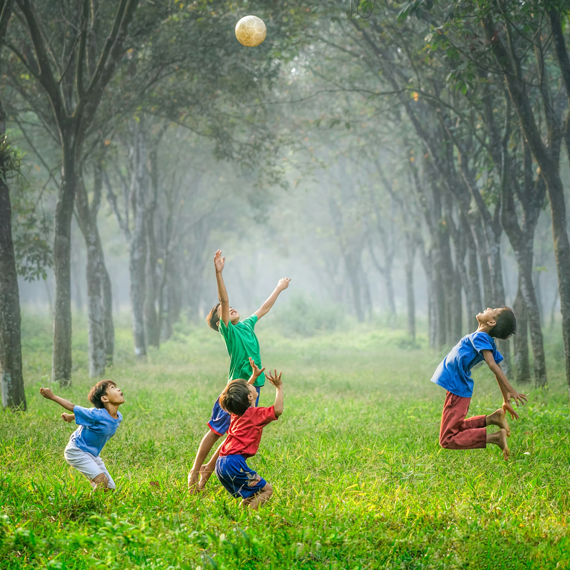 New Creation: Never Solitary